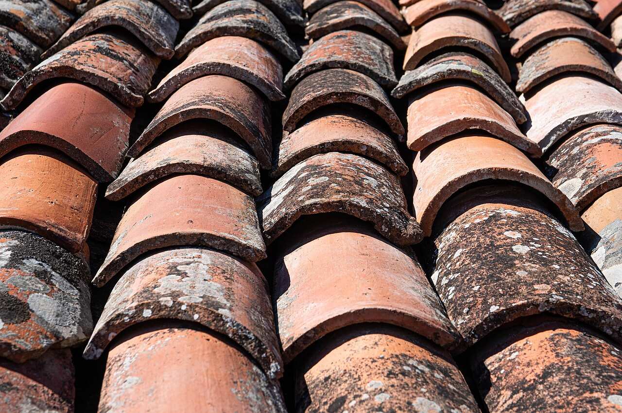 Curved clay barrel tiles across a roof