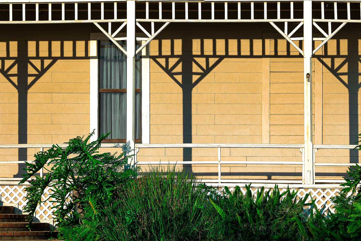 A wooden house facade with white railings and plants