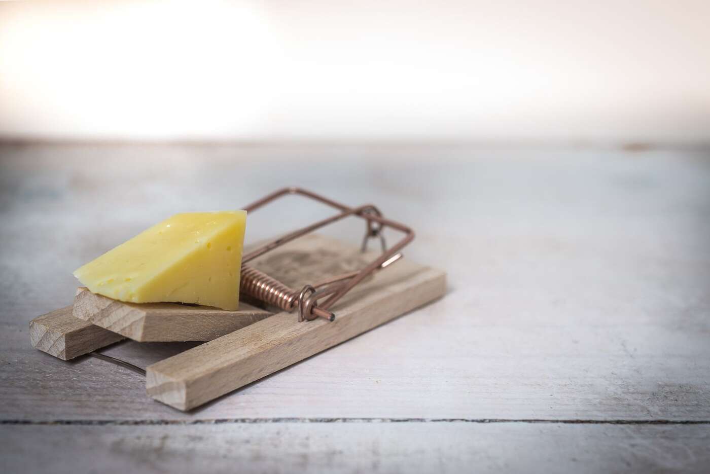 A wooden snap trap baited with cheese on a table