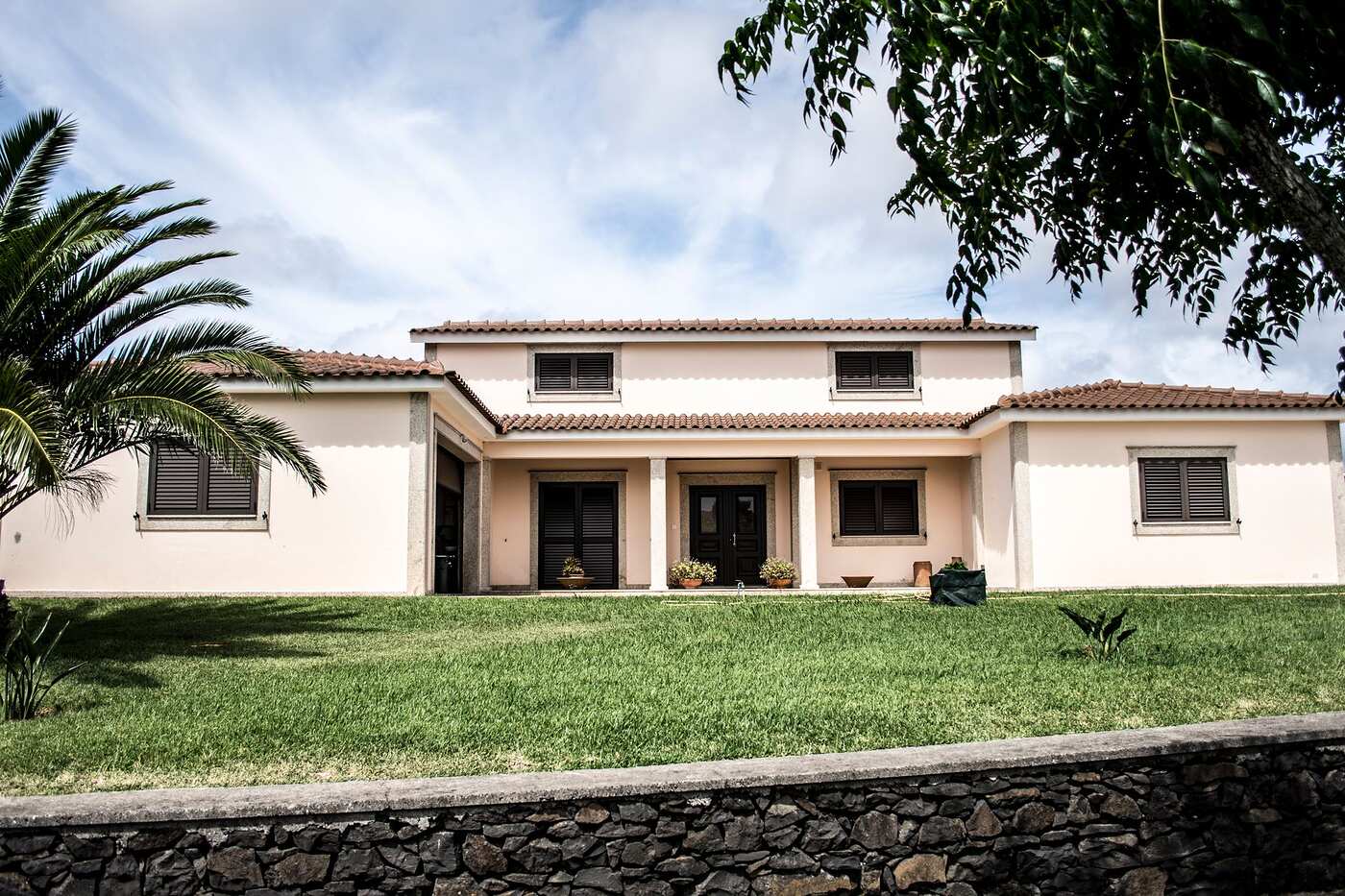 A modern single-story home with a lawn and a palm