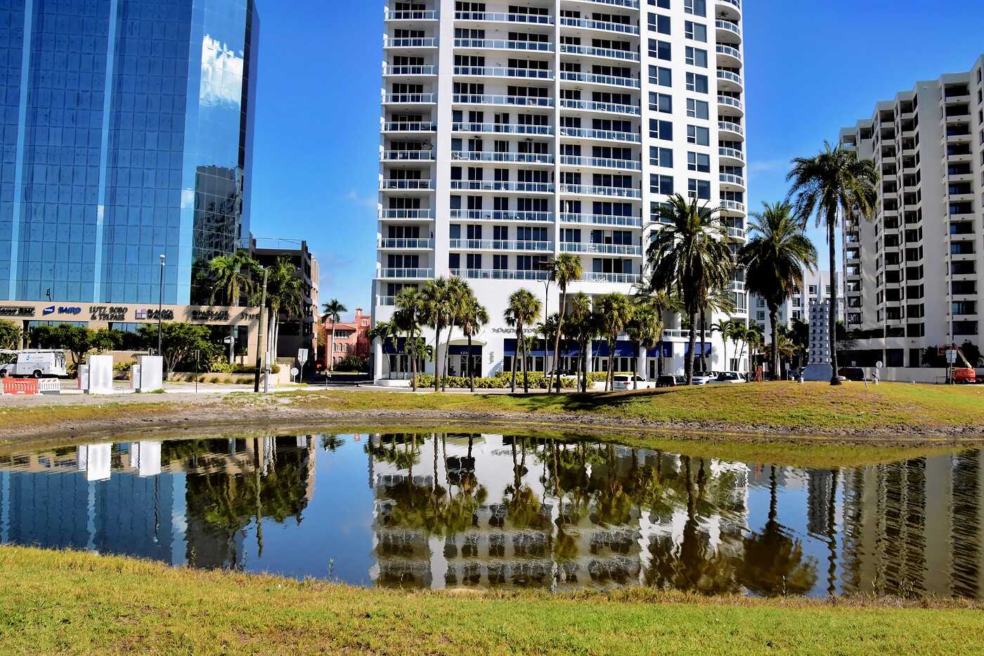 Waterfront buildings and palms across a reflecting pond